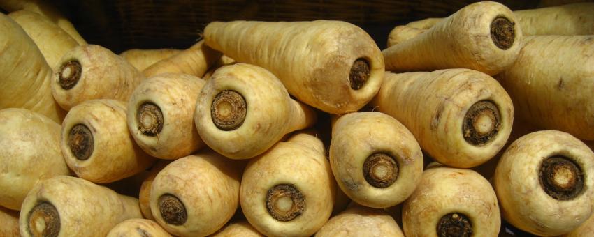 Parsnips